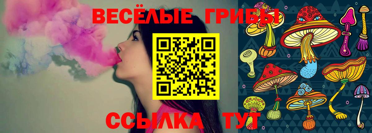 Псилоцибиновые грибы Psilocybe  Вход с VPN  Жуковский 